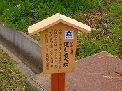 ̌iF