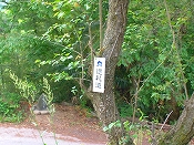 ̌iF
