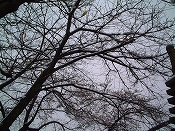 ̌iF