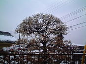 ̌iF