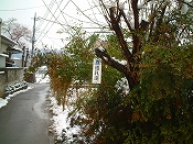 ̌iF