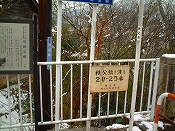 ̌iF