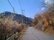 ̌iF