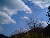 ̌iF