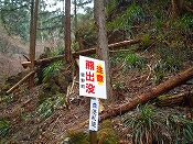 ̌iF