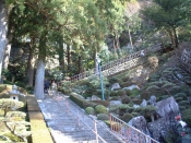 l՘ȞiF
