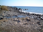 l՘ȞiF