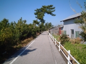 四国遍路の景色