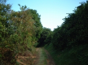 l՘ȞiF