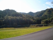 四国遍路の景色
