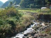 l՘ȞiF