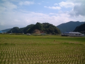 四国遍路の景色