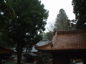 l՘ȞiF