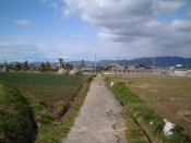 l՘ȞiF