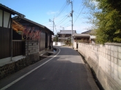 四国遍路の景色