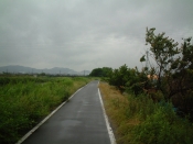四国遍路の景色