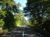 l՘ȞiF