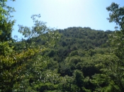 l՘ȞiF