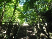 l՘ȞiF