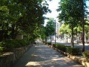 四国遍路の景色