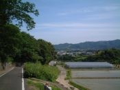四国遍路の景色