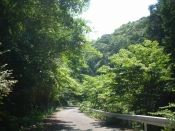 四国遍路の景色