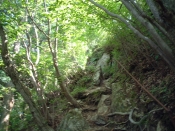 l՘ȞiF
